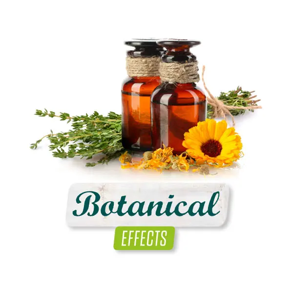 
Dog food with chicken, vegetables and rice. Adult dogs of small breeds 