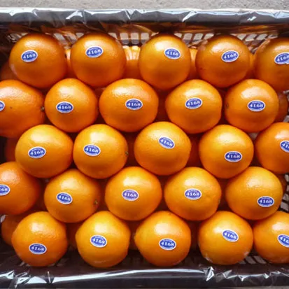 Поставка детского мандарина Nanfeng высокого