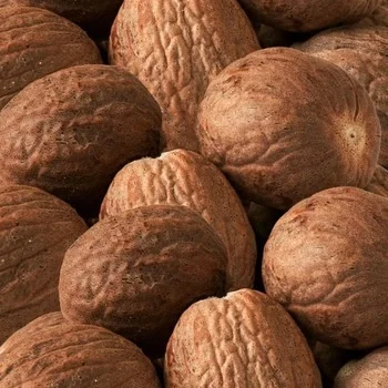 High quality seasoning natural nutmeg for sale