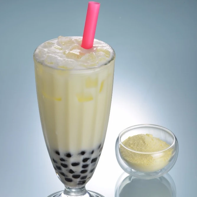 coconut milk Powder HOT product