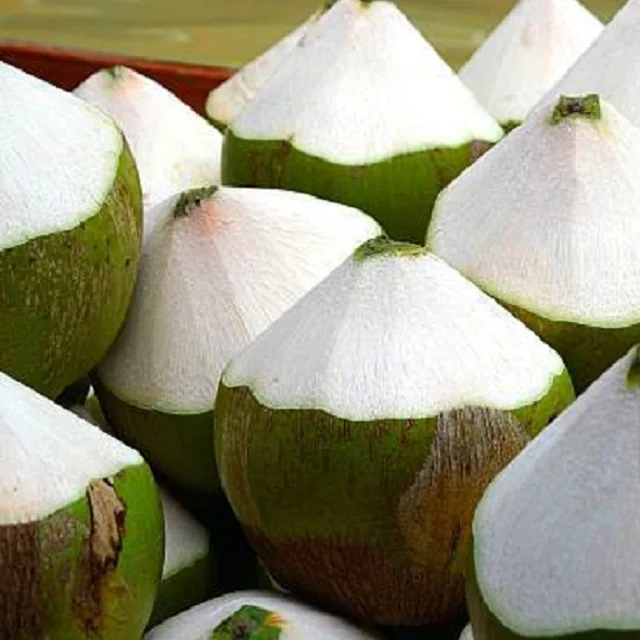
Young Tender Coconuts 