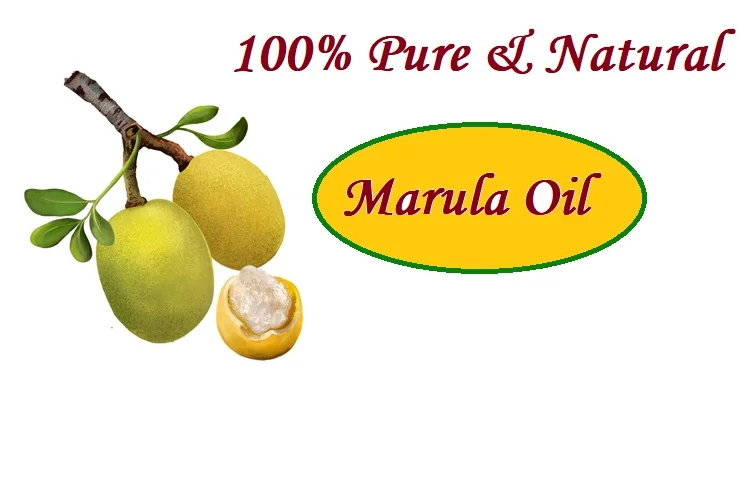 Marula Oil | Organic Marula Seed Oil | Sclerocarya Marula Seed Oil -Wholesale Bulk Price