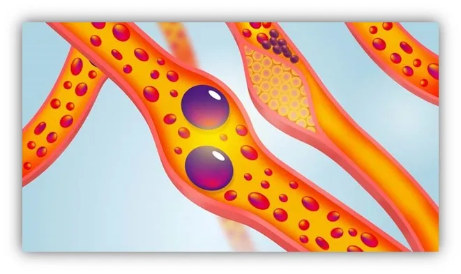 Super enzyme fermented soybean extract