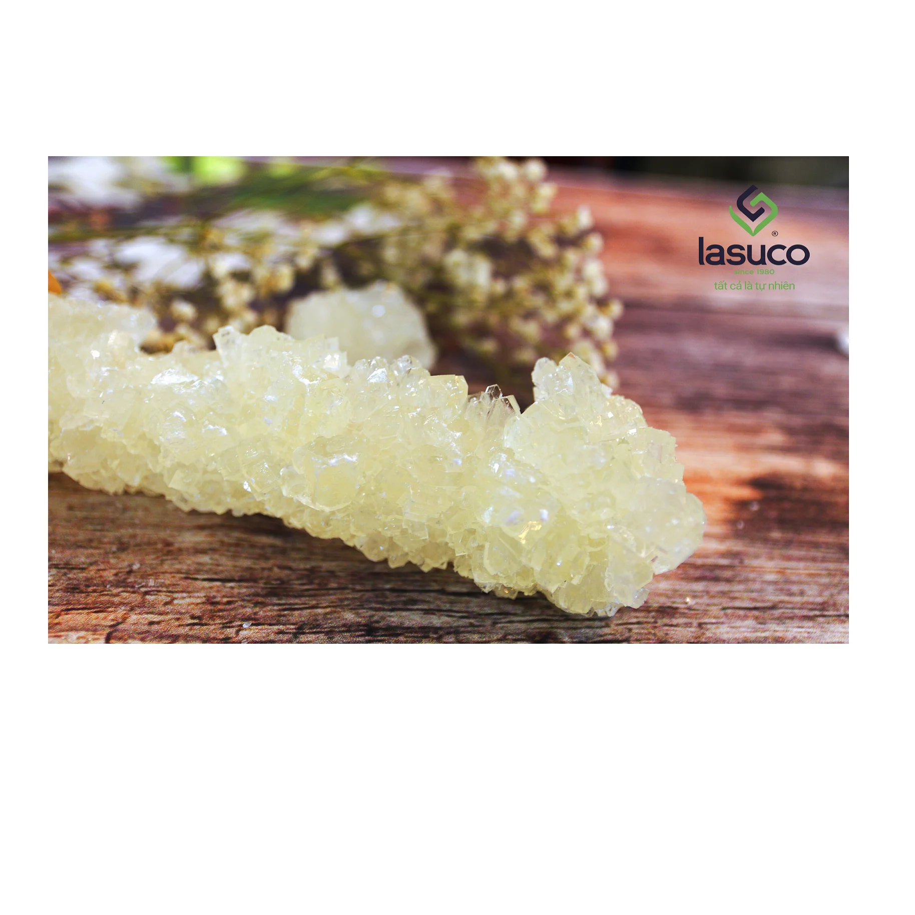 Лучшая цена! Высококачественные конфеты rock stick для продажи