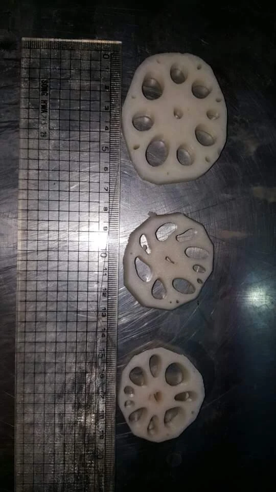 Frozen lotus whole Sliced Cheapest price/ HOLIDAY