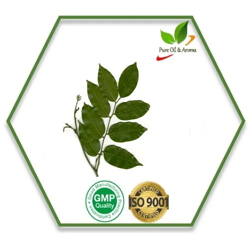 100% Pure and Natural Balsam Peru Essential Oil for Aromatherapy and for cosmetic use Organic Balsam Peru Oil