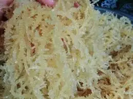  Dried Cottonii in bulk best quality whatsapp +84 845