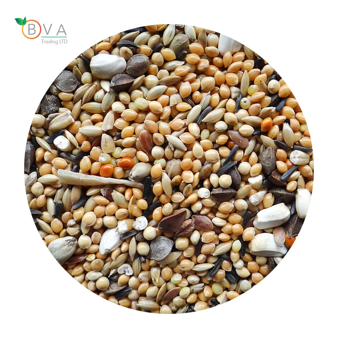 Поставщик корма для птиц, Украинская смесь для птиц оптом, декоративные птицы budie mix