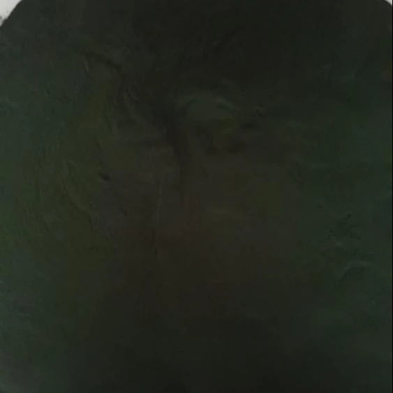 Indian Origin Spirulina Algae Powder     --- Whatsapp +91 73580 94554