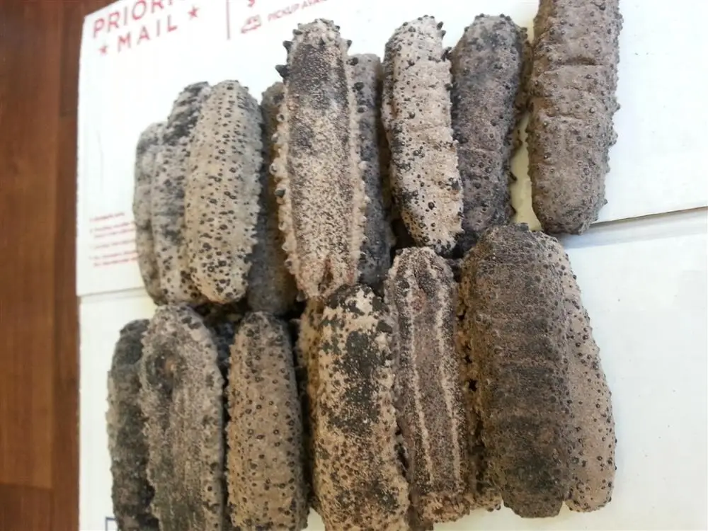 Dried Style dried prickly sea cucumber