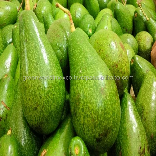 PREMIUM QUALITY OF AVOCADO - GOOD PRICE FROM VIETNAM