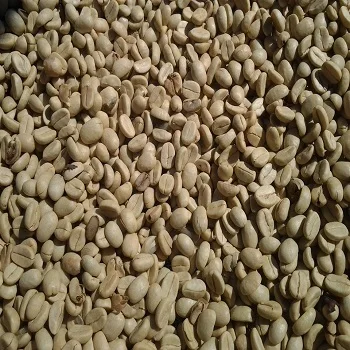 Wholesale Specialty coffee bean