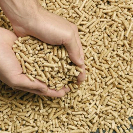 Beech / Oak / Poplar  Briquettes Biomass Fuel Pine Oak Wood Pellets Wood pellets price ton