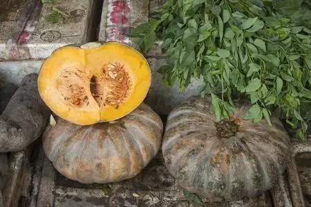 Fresh Pumpkin In Vietnam Whatsapp +84-845-639-639