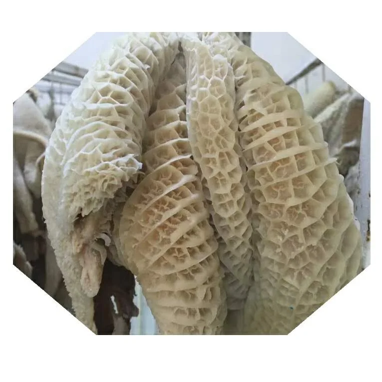 Beef Honeycomb / Halal frozen Beef Honeycomb Supplier from Pakistan