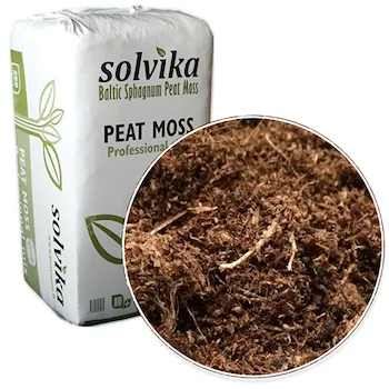 Professional Baltic Peat Moss (Latvian Origin)