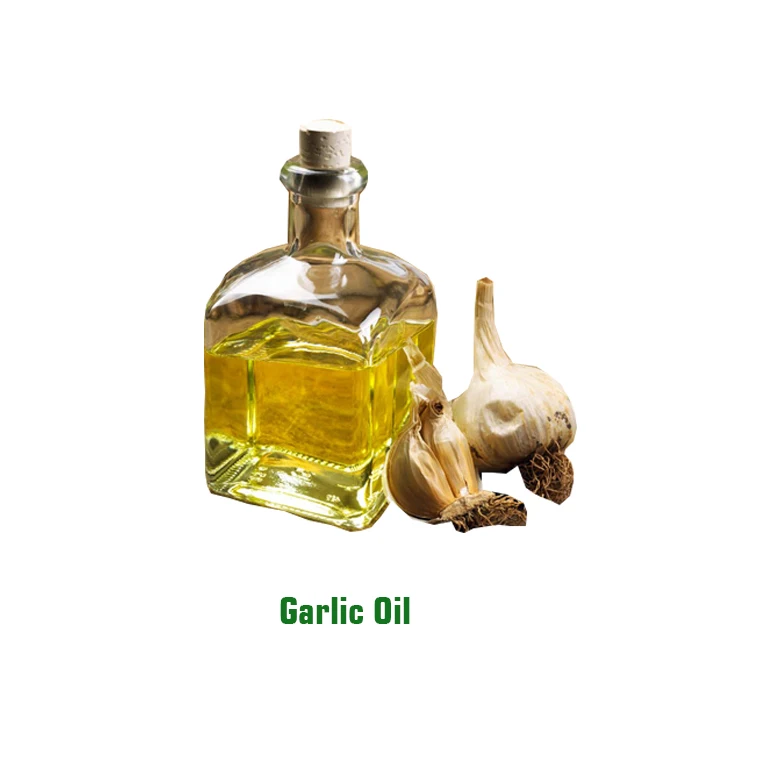 100% Pure and Organic Garlic Essential Oil Helps to Treat Fungal Infection Available Bulk Wholesale Price