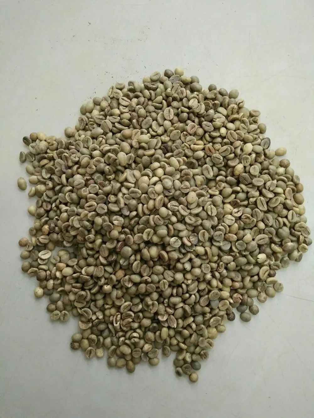 
Vietnam Arabic Green Coffee Beans Wholesale 