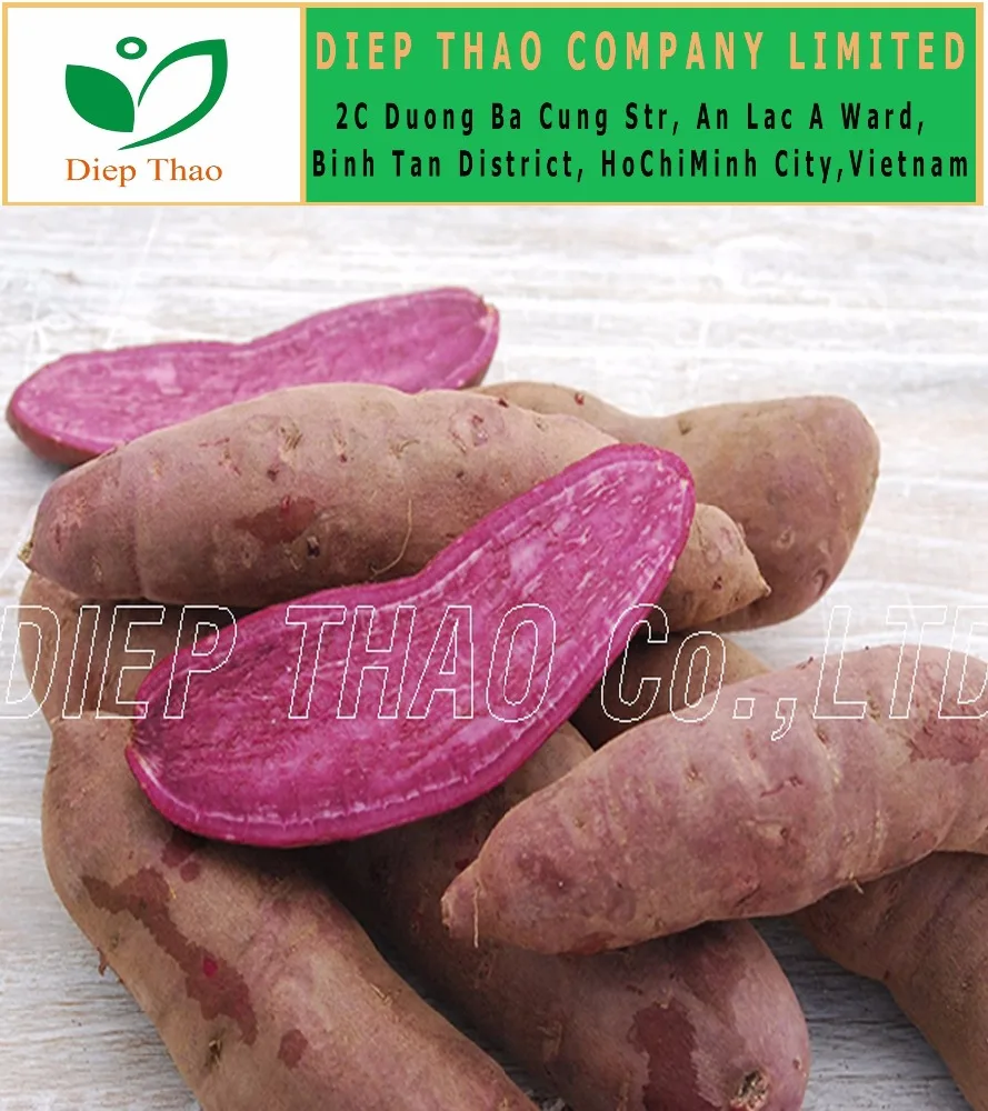 EXPORTING FRESH PURPLE YAM/ PURPLE SWEET POTATO