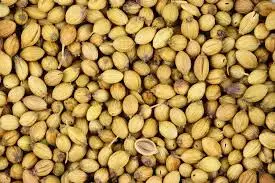 Scooter Quality Coriander good quality coriander price cooking food wholesale manufacturing with great quality for sale