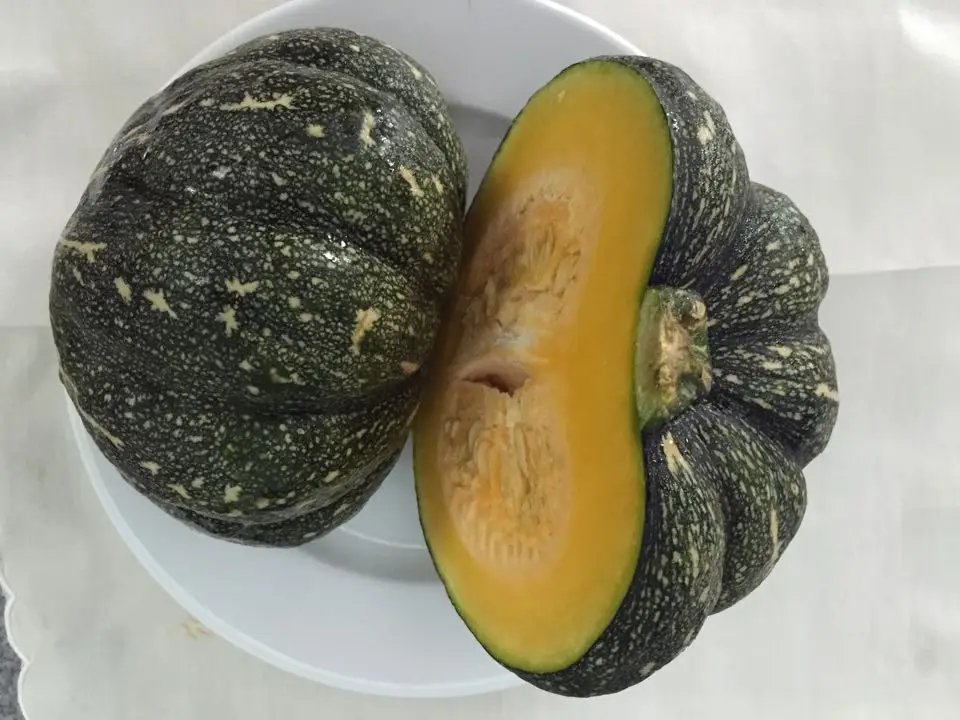 Frozen Pumpkin, IQF Frozen Pumpkin - high quality Frozen Vegetables in 2020
