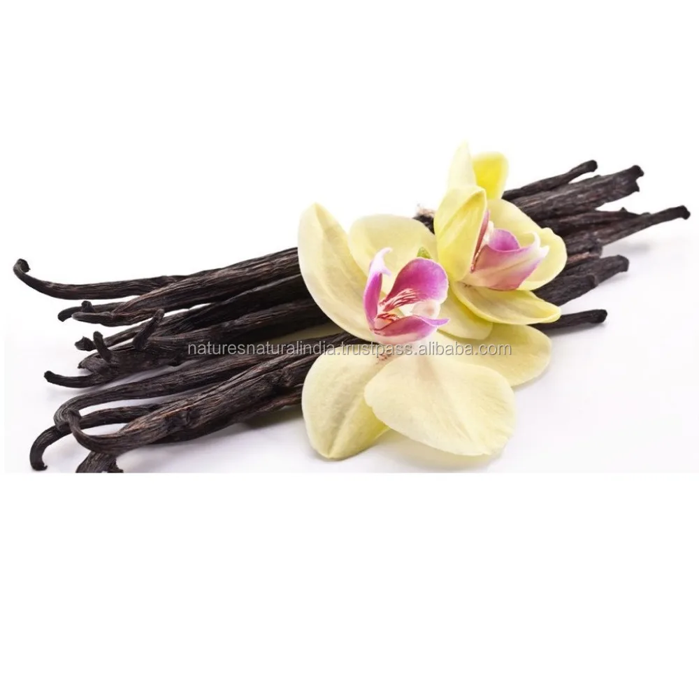 Organic Vanilla Oil Distillers in India for Soap perfume making and other flavoring Essential oils For Sale at Wholesale Price