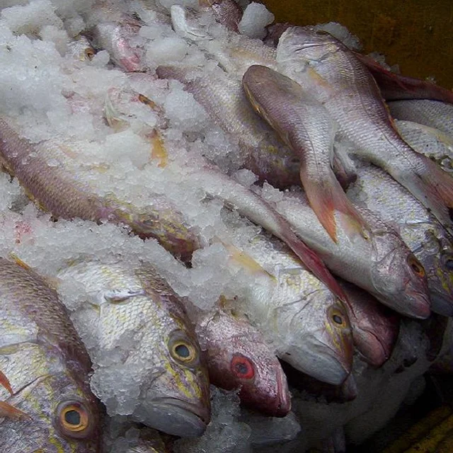 Price for frozen fish