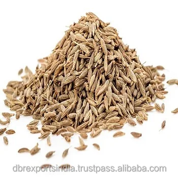 100% Cumin Seed Oil - Co2