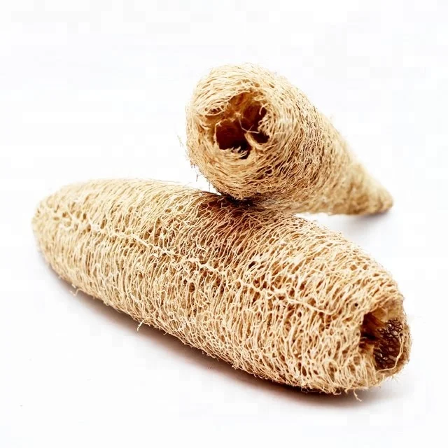 
Wholesale Long Raw Loofah for Scubber 