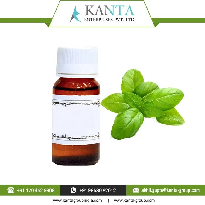 100% Pure And Natural Basil Oil / Basil Essential Oil help improve blood flow at Lower Price From India