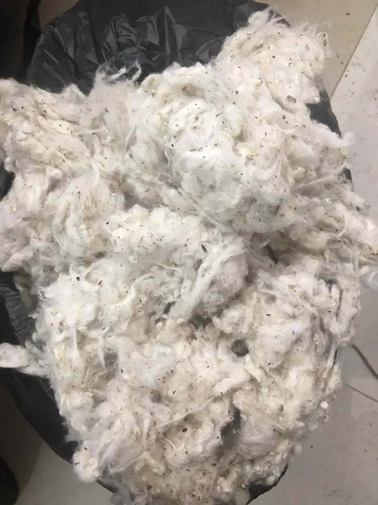 
100% COTTON WASTE FOR TEXTILE 