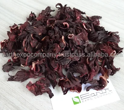 
 Сухой цветок гибискуса  