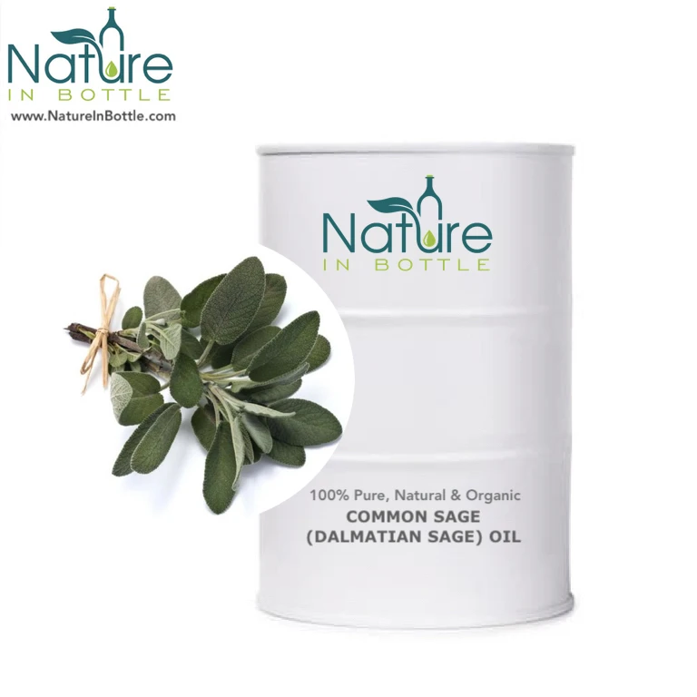Common Sage Essential Oil | Dalmatian Sage Oil | Salvia officinalis - Organic & Natural Essential Oils - Private Labelling