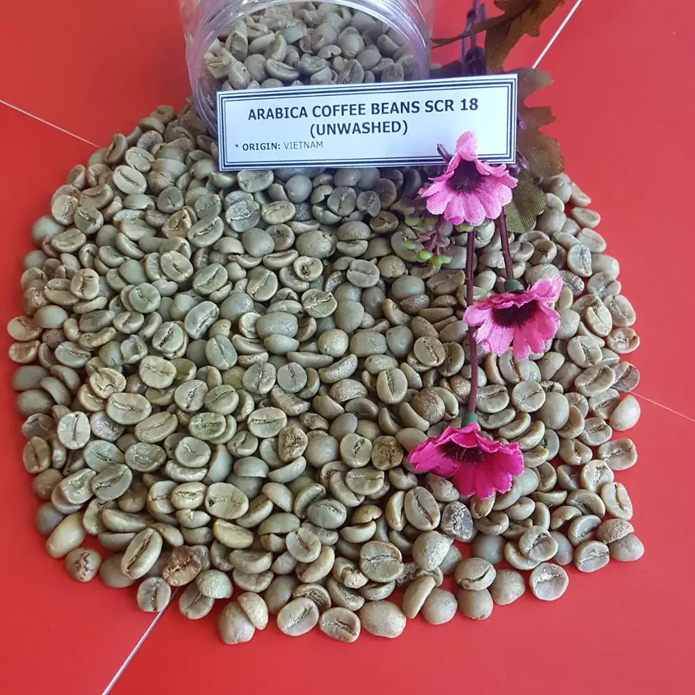  Вьетнамские высококачественные зеленые кофейные зерна ARABICA по хорошей цене SCR13/ SCR16/ SCR18 +