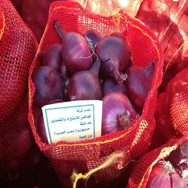 Onion fresh product available now