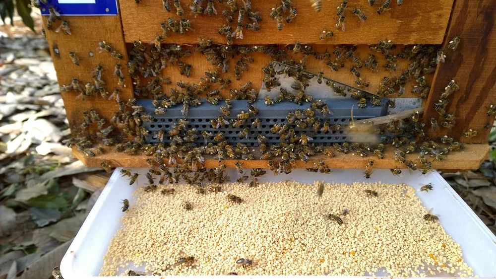 BEE-GATHERED POLLENS +84 845 639 639