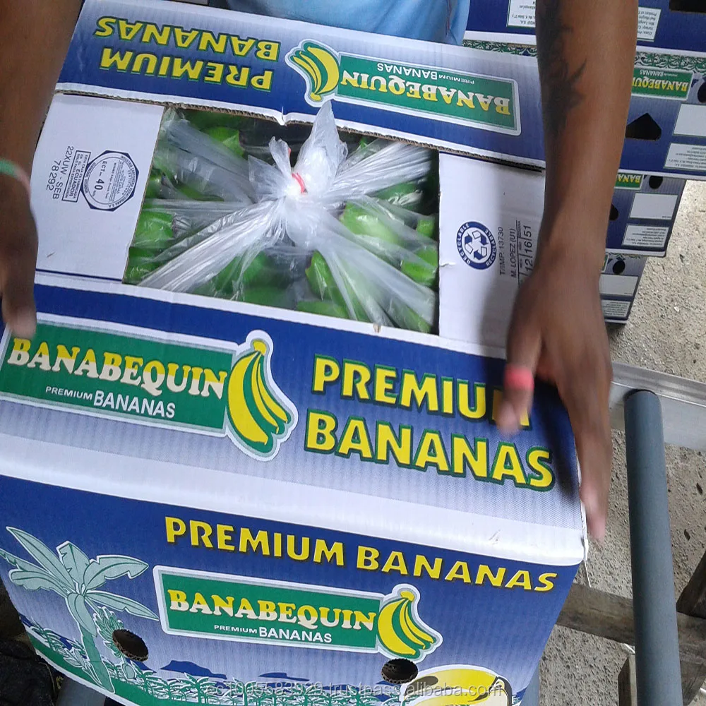 BANANAS PREMIUM CAVENDISH