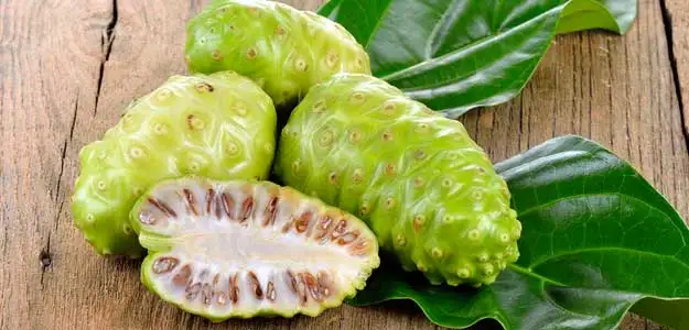 Концентрат высококачественный экстракт нони фруктов экстракты Масло из семян каучука хорошее качество для здоровья