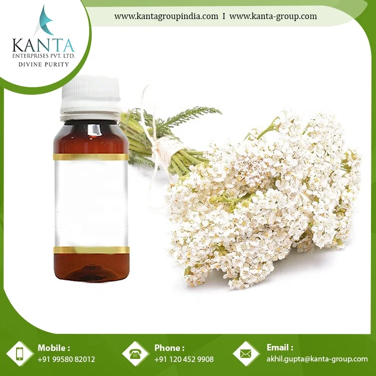Private Label OEM / ODM Supply 100% Original Yarrow Essential Oil Buy at Wholesale Price