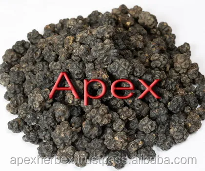 Morinda Citrifolia Noni Fruits dried Organic Apex India