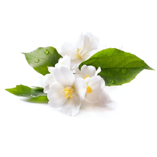 100% Natural Pure Jasmine Floral Water Supply | Skin Care jasmine Hydrosol Bulk Suppliers/ Exporters