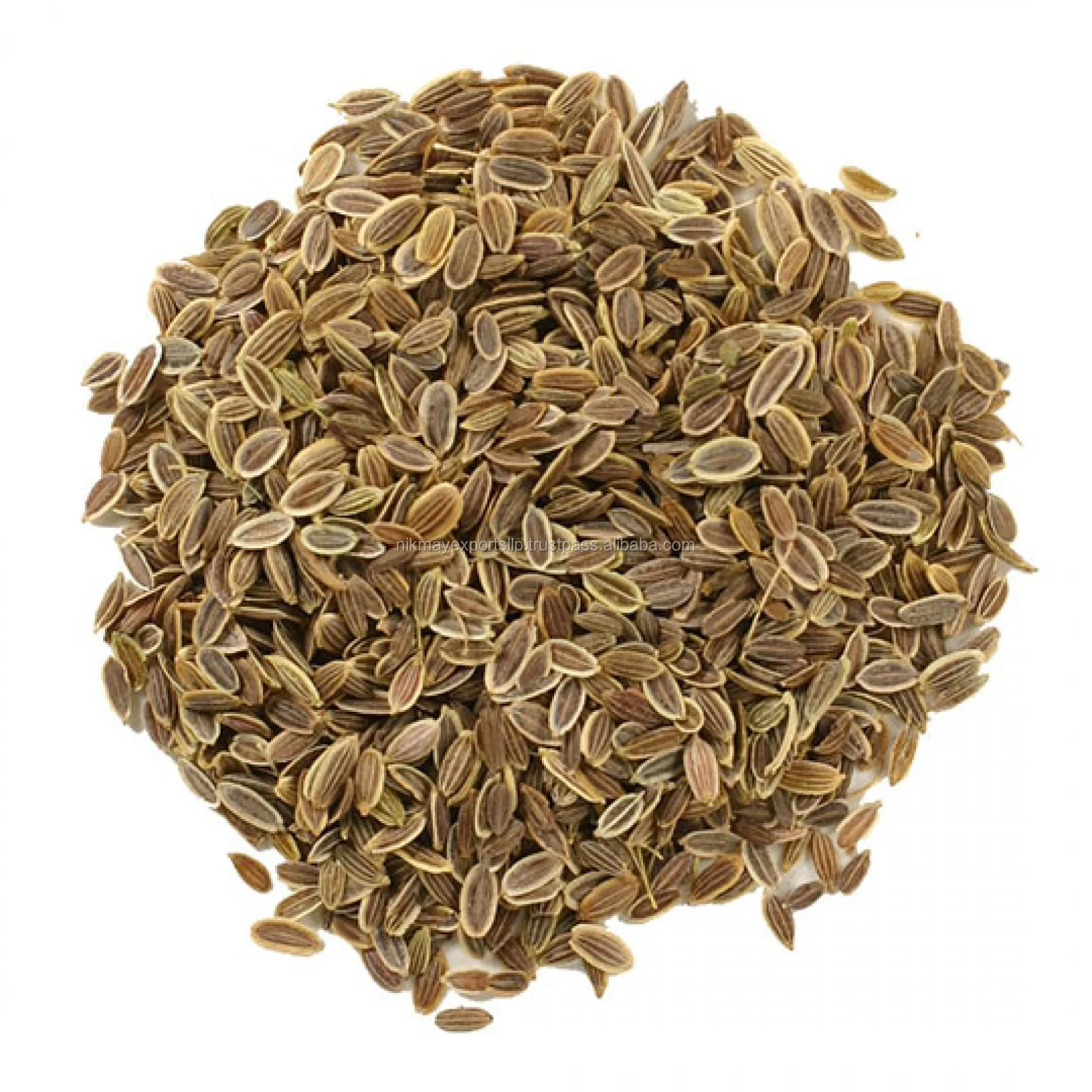 
FRESH DILL SEEDS ORIGIN INDIA FROM NIK-MAY EXPORTS 