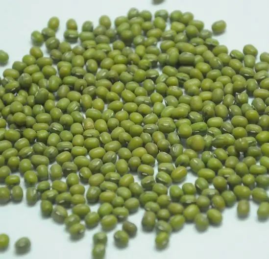 WHOLE SALE HIGH QUALITY GREEN MUNG BEANS 2021 +84 845 639 639