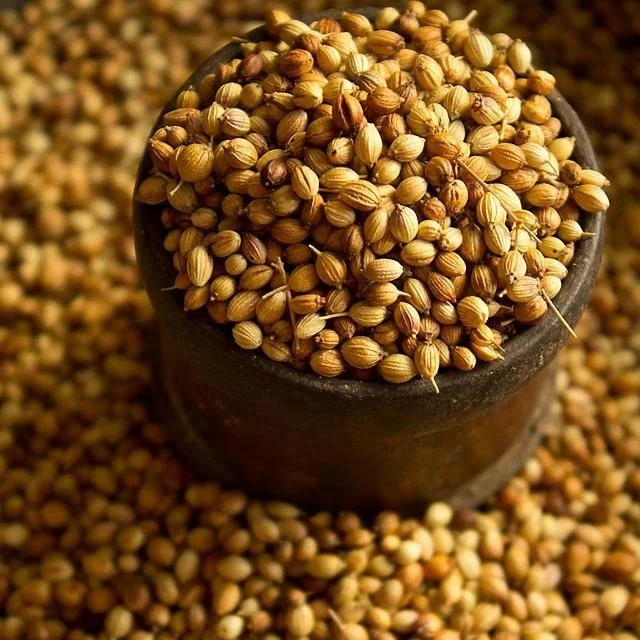 
Vegetable coriander seeds price 