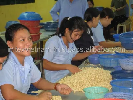 VIETNAM WHOLE CASHEW NUT FOR MIDDLE EAST MARKET