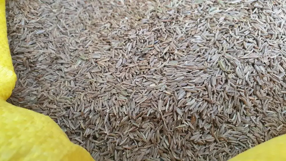 
Caraway seeds 