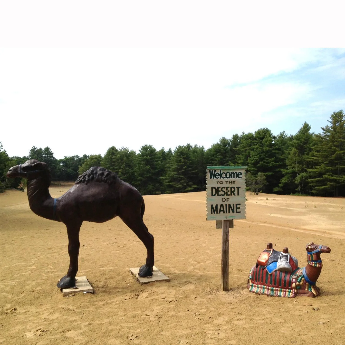 Custom Garden Decoration Sculpture Resin Camel Statue