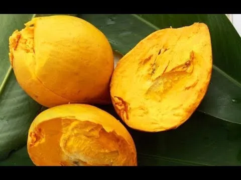 Быстрая доставка, органические фрукты люкума, предложение из Вьетнама/WHATSAPP + 84 845 639639