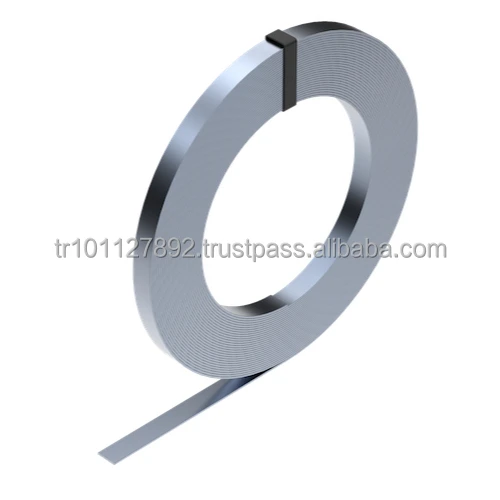 
Galvanized 30x3 mm Strip 