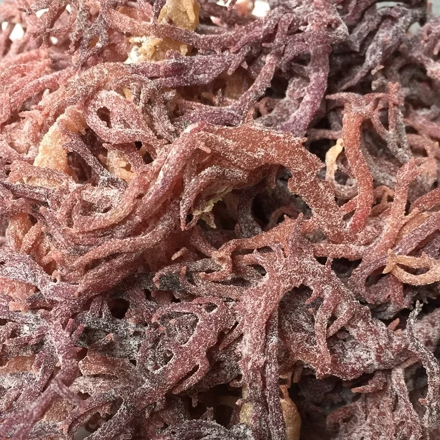 RAW EUCHEUMA COTTONII